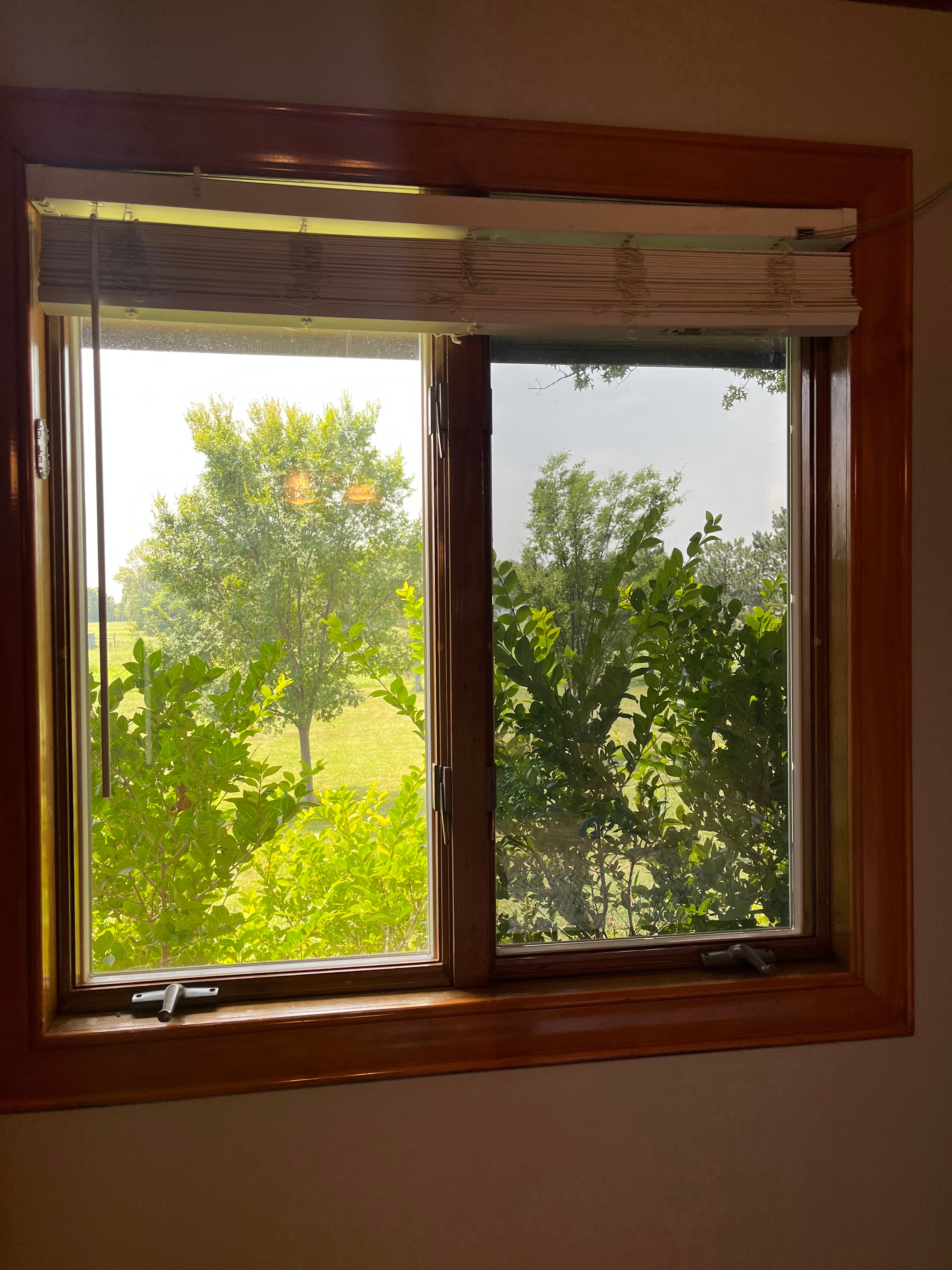 Professional Window Tinting